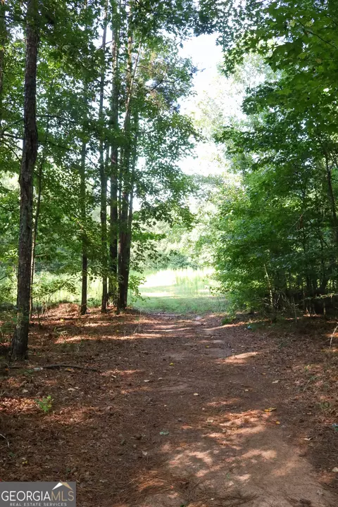 Other - 1224 Walker Rd, Madison, GA 30650 photo 14 of 22