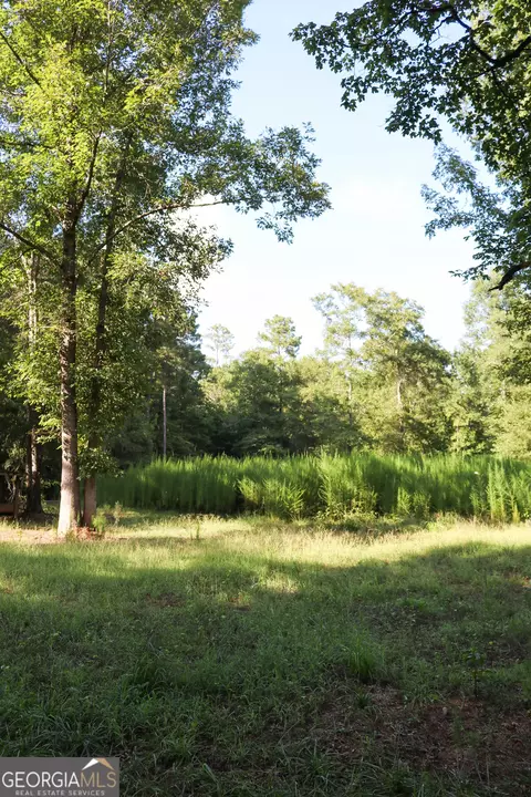 Other - 1224 Walker Rd, Madison, GA 30650 photo 16 of 22