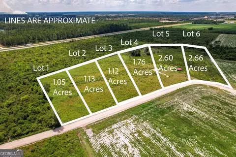 lot2 Carl Cravey Rd, Hazlehurst, GA 31539