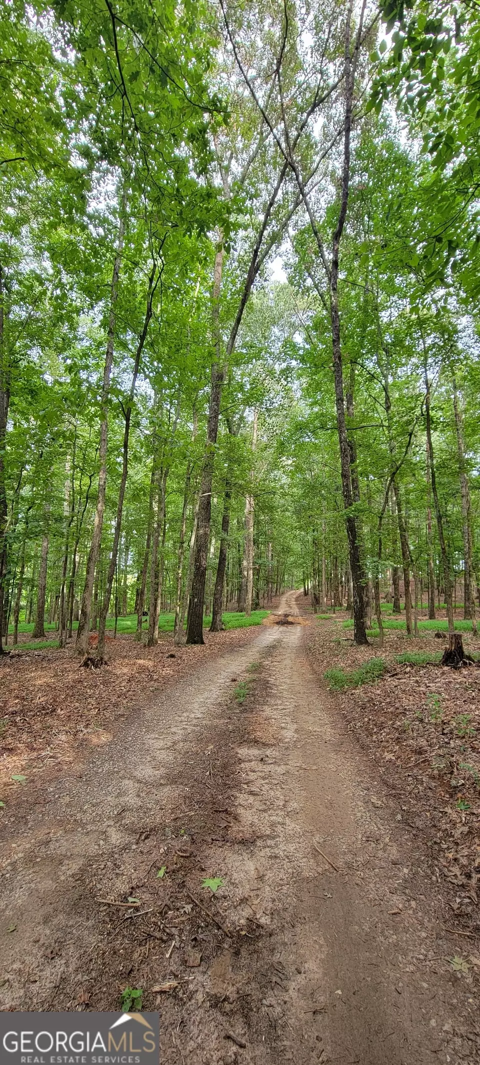  2080 Highway 11 S, Mansfield, GA 30055 photo 26