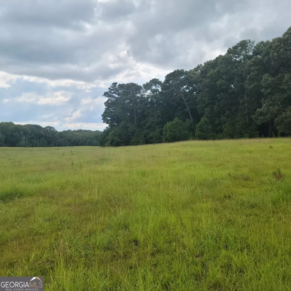 2080 Highway 11 S, Mansfield, GA 30055 photo 23