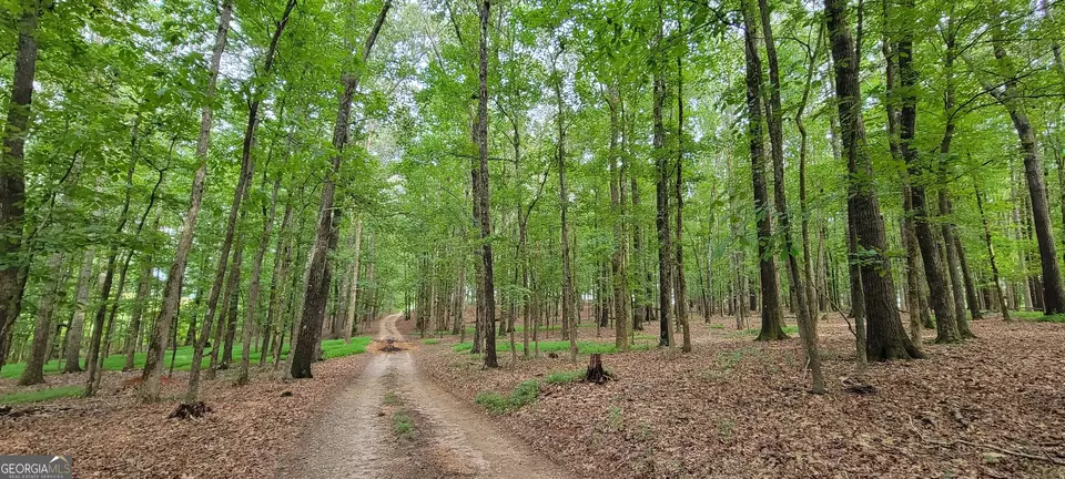  2080 Highway 11 S, Mansfield, GA 30055 photo 27