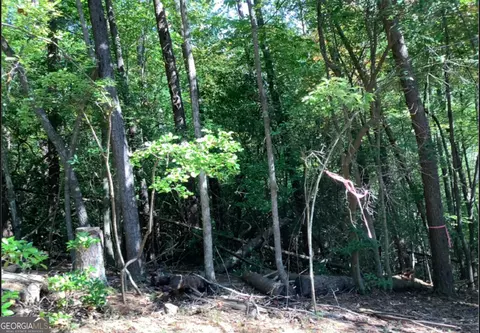 0 68 Valley View Rd, Ellijay, GA 30536