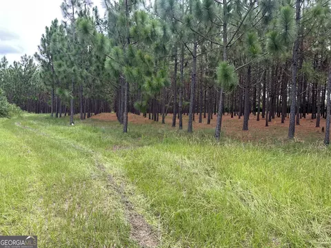 811 Davis Rd, Dudley, GA 31022 photo 12