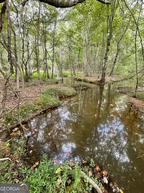 7688 Hamilton Rd, Pine Mountain, GA 31822