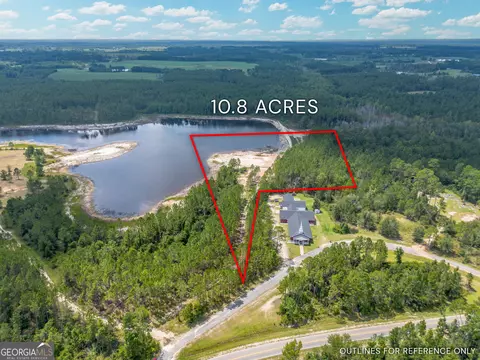 0 Piney Bluff Rd, Baxley, GA 31513