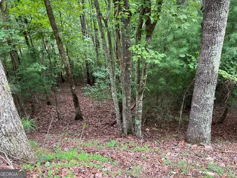 167 Tara Dr, Ellijay, GA 30540