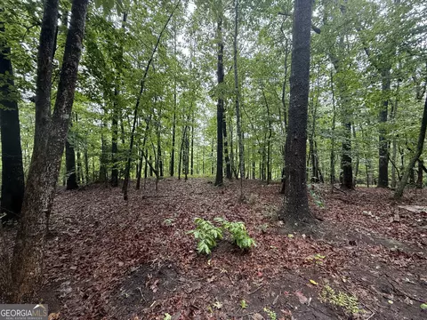 0 Hammond Dr, Toccoa, GA 30577