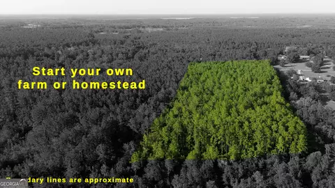 1062 Waverly Farms Rd, Waverly, GA 31565