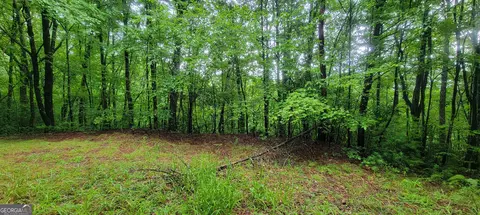 0 Bonanza Ln, Tiger, GA 30576