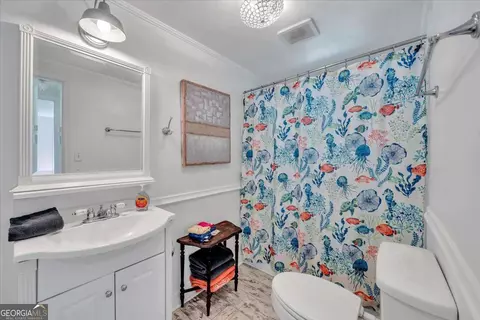 Bath - 483 Flintside Dr, Cobb, GA 31735 photo 1 of 1
