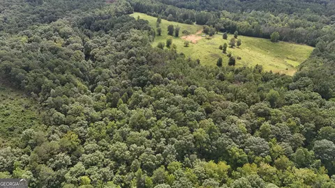 0 Heath Rd, Buchanan, GA 30113 photo 9