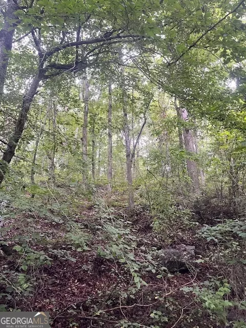 0 Heath Rd, Buchanan, GA 30113 photo 6