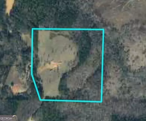 0 Heath Rd, Buchanan, GA 30113 photo 10