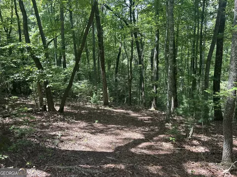 22 5 Ac Hwy 2 #TR 6, Blue Ridge, GA 30513