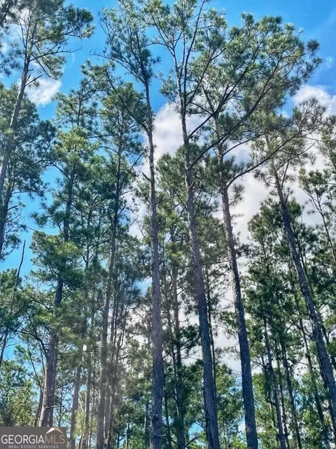 0 Incachee Rd, Waverly, GA 31565