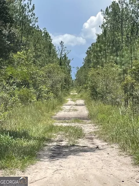 0 Gale St, Hastings, FL 32145