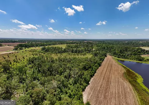 12 37 Acres- Lo Perry Horton Rd, Adrian, GA 31002 photo 10