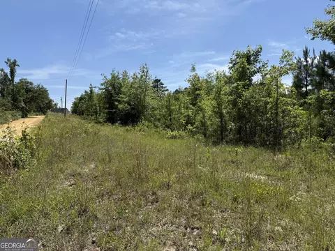 12 37 Acres- Lo Perry Horton Rd, Adrian, GA 31002 photo 2