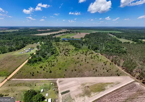 12 37 Acres- Lo Perry Horton Rd, Adrian, GA 31002 photo 9