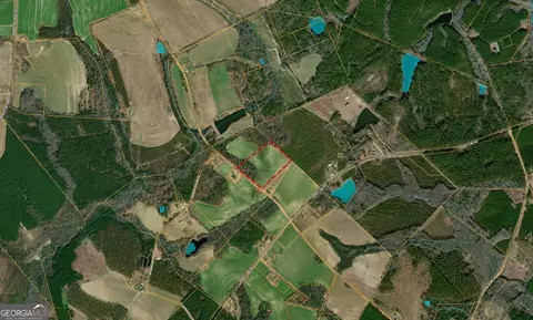 12 37 Acres- Lo Perry Horton Rd, Adrian, GA 31002 photo 15
