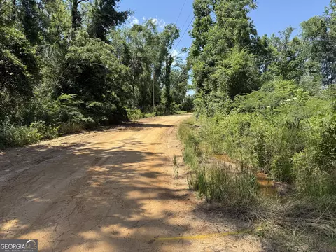 12 37 Acres- Lo Perry Horton Rd, Adrian, GA 31002 photo 13