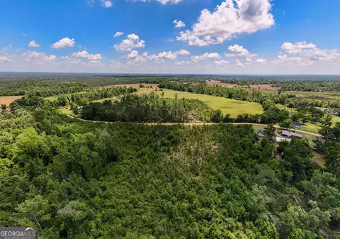 12 37 Acres- Lo Perry Horton Rd, Adrian, GA 31002 photo 7