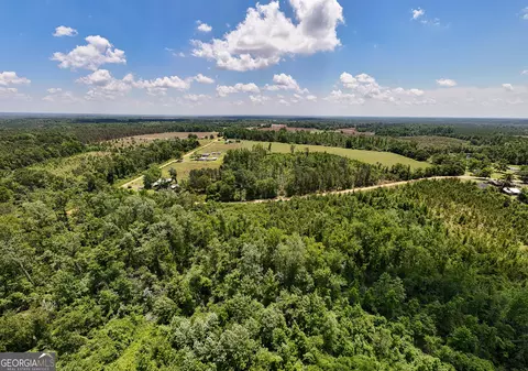 12 37 Acres- Lo Perry Horton Rd, Adrian, GA 31002 photo 8