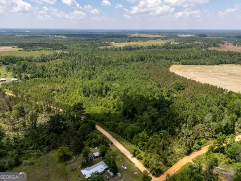 12 37 Acres- Lo Perry Horton Rd, Adrian, GA 31002 photo 6