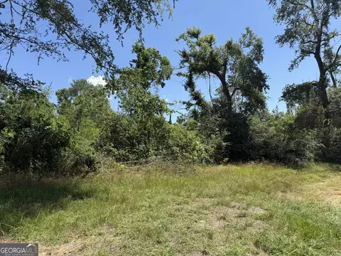 12 37 Acres- Lo Perry Horton Rd, Adrian, GA 31002 photo 12