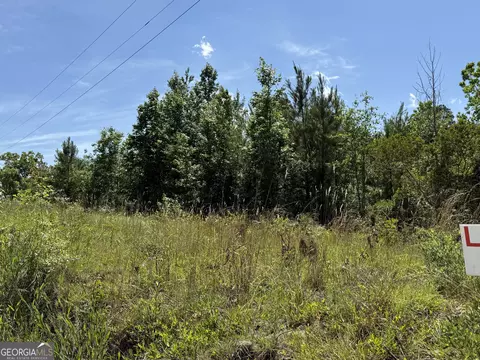 12 37 Acres- Lo Perry Horton Rd, Adrian, GA 31002 photo 3