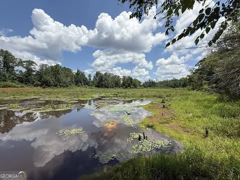 0 Fox Creek Rd, Preston, GA 31824