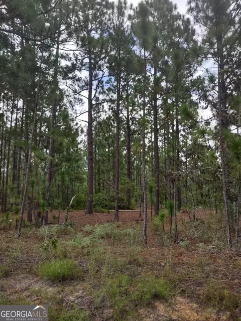 0 James Stubbs Rd, Mauk, GA 31058