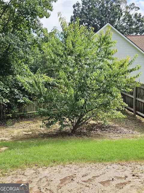 204 Sandstone Dr, Hampton, GA 30228 photo 27
