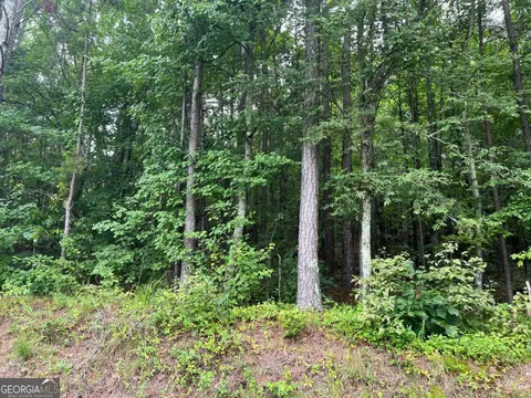 119 Kirk Rd NW, White, GA 30184