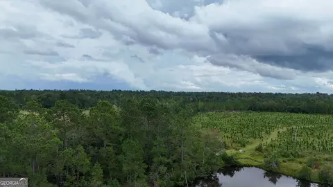 1025 Old Dairy Rd, Ailey, GA 30410 photo 5