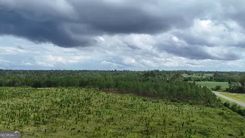 1025 Old Dairy Rd, Ailey, GA 30410 photo 8