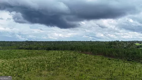 1025 Old Dairy Rd, Ailey, GA 30410 photo 7