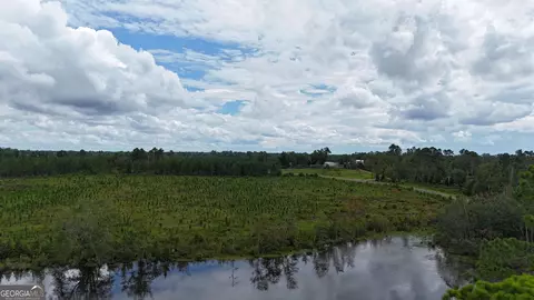 1025 Old Dairy Rd, Ailey, GA 30410 photo 3