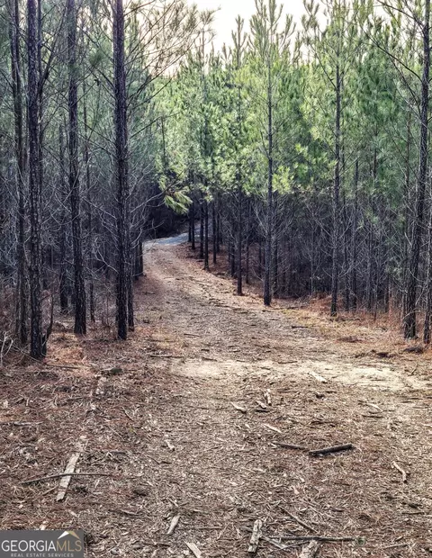 0 Black Creek Rd, Gordon, GA 31031