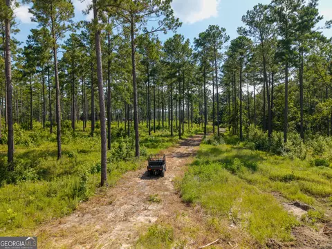 0 Henry Moxley Rd, Cobbtown, GA 30420