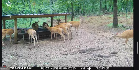 36 Acres Firetower Rd, Thomaston, GA 30286 photo 3