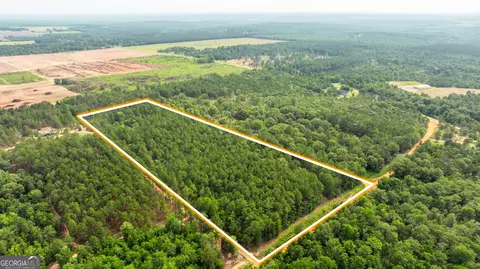 11 36 Ac Brannon Montgomery Rd, Mauk, GA 31058