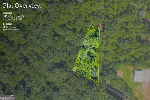 311 Caprice Dr, Martin, GA 30557