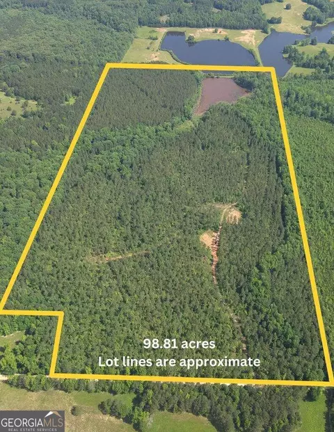 98 81 Ellis Rd, Greenville, GA 30222