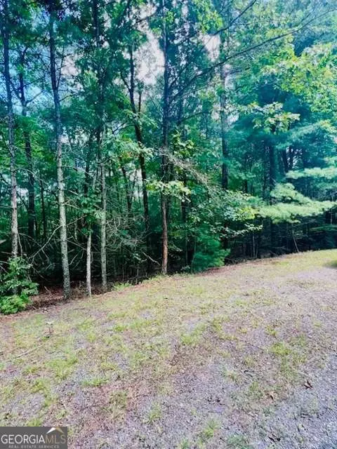 lot42 Squirrel Hunting Rd, Ellijay, GA 30540