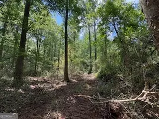 lot17 Smith Rd, Thomaston, GA 30286