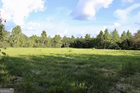 467 Mccall Rd, Butler, GA 31006
