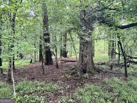 0 Prospect Church Rd, Norwood, GA 30821