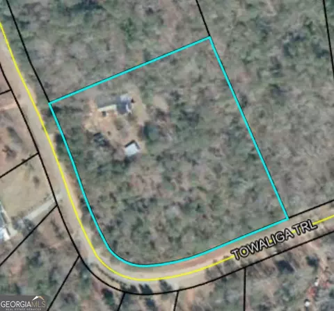 332 Towaliga Trl, Forsyth, GA 31029